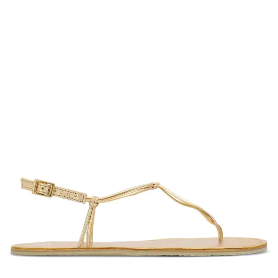 Sandals | Groundies ® Amalfi Women Gold